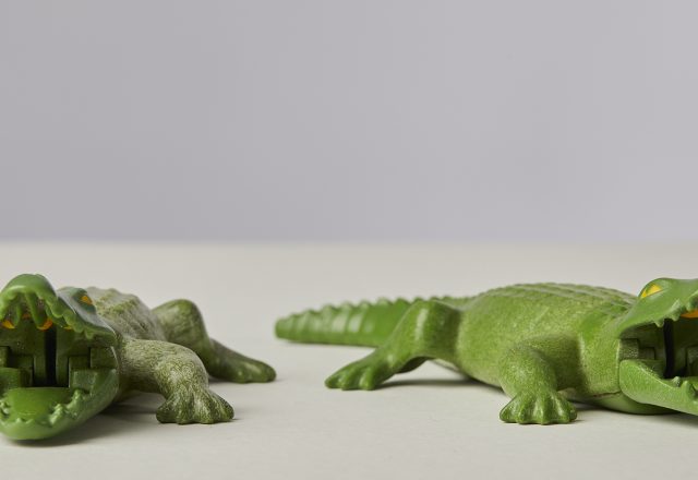 Two Playmobil toy crocodiles in green plastic. Their jointed mouths are open.