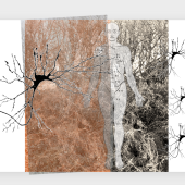 a still from the video, overlaid images of woodland, diagrams of nerves and the human nervous system