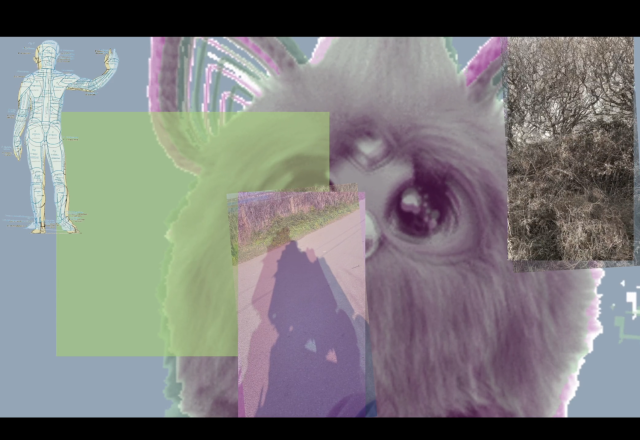 a collage of images, including a Furby toy
