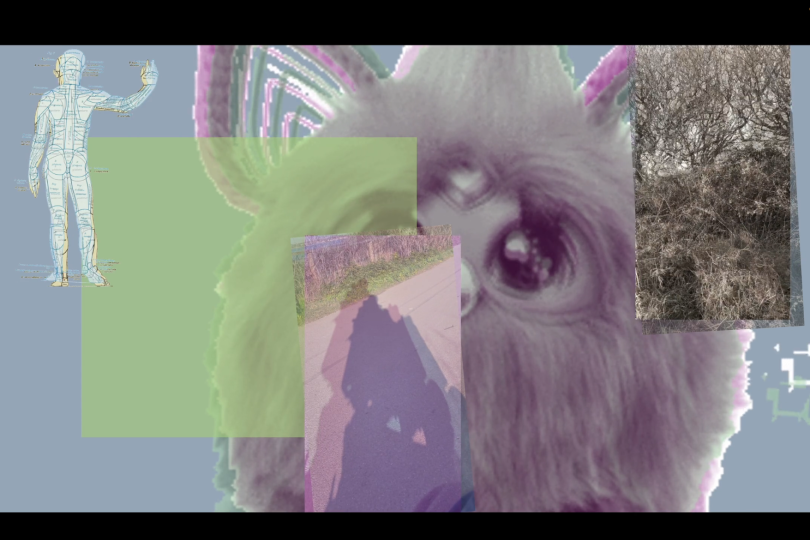 a collage of images, including a Furby toy